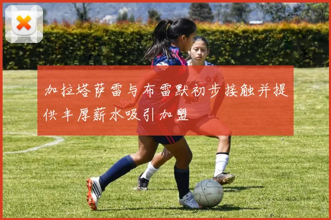 加拉塔萨雷与布雷默初步接触并提供丰厚薪水吸引加盟
